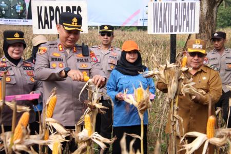 POLRES SUMENEP GELAR PANEN RAYA JA