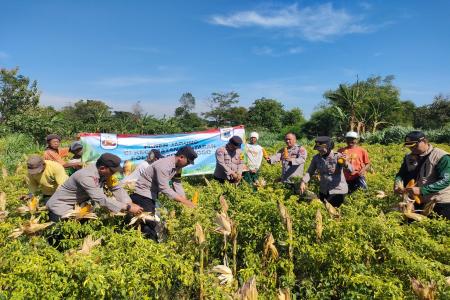 Wujudkan Program Ketahanan Pan